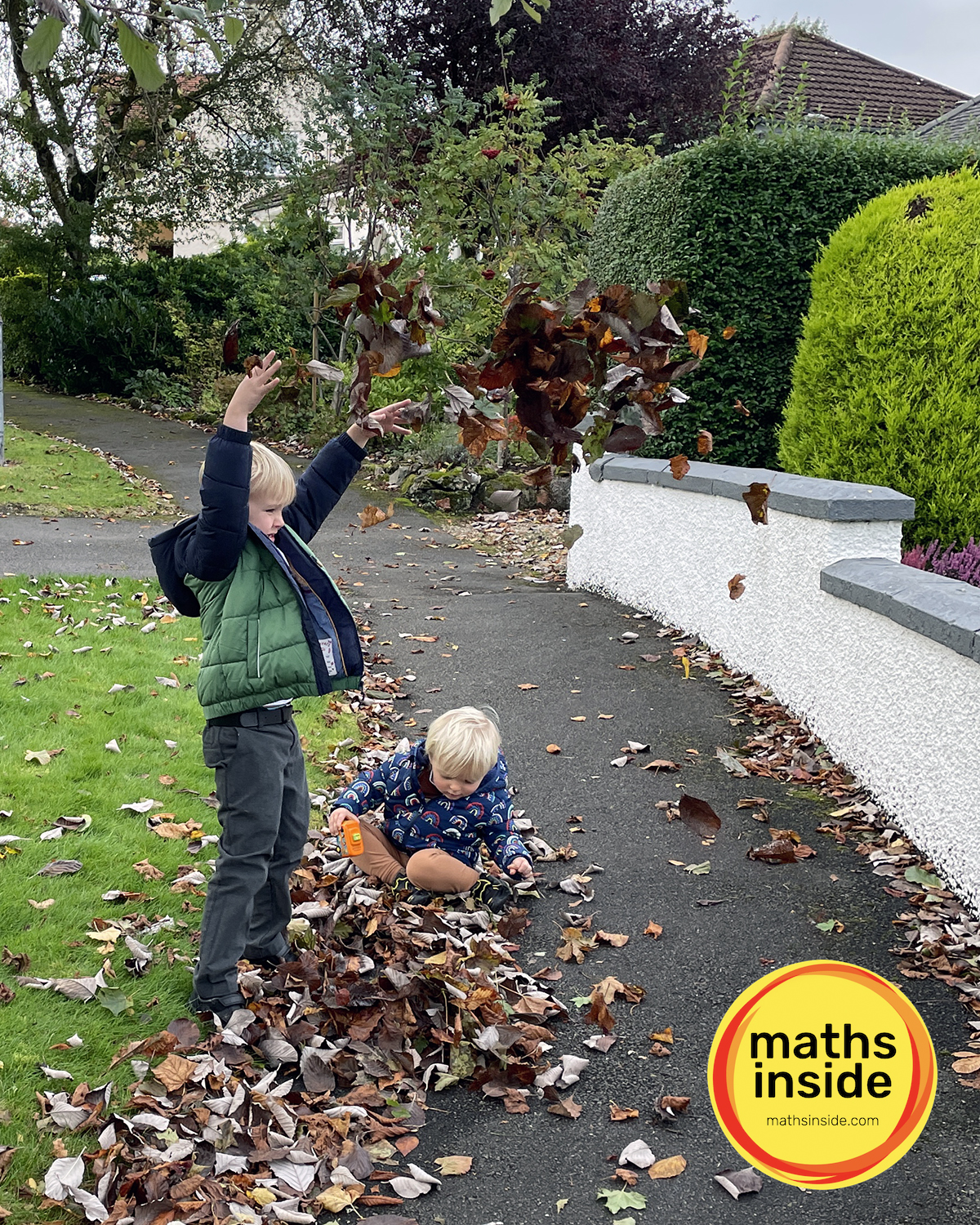alt text